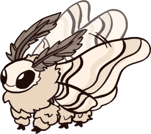 a silk moth
